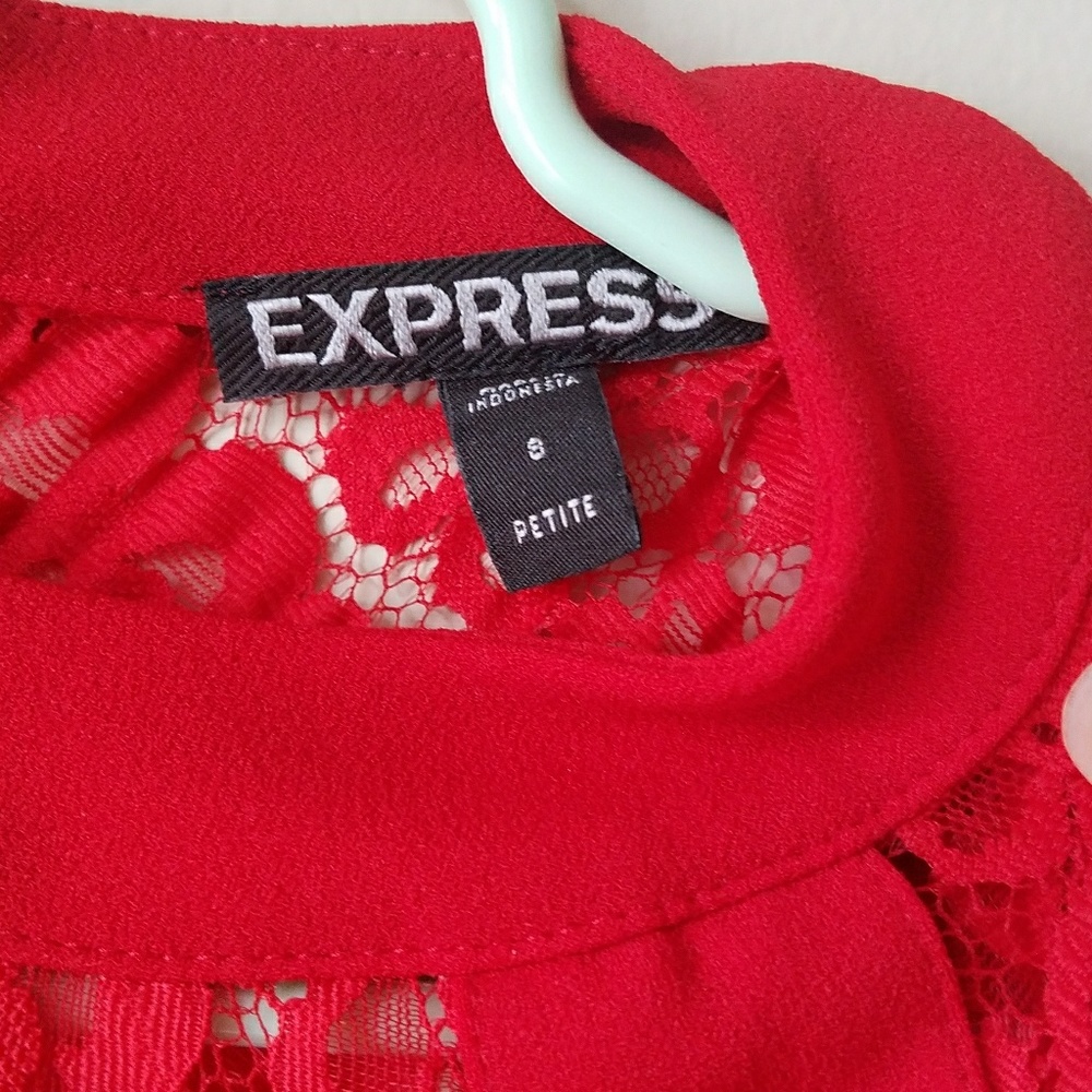 Express Dress - Picture 6 of 6